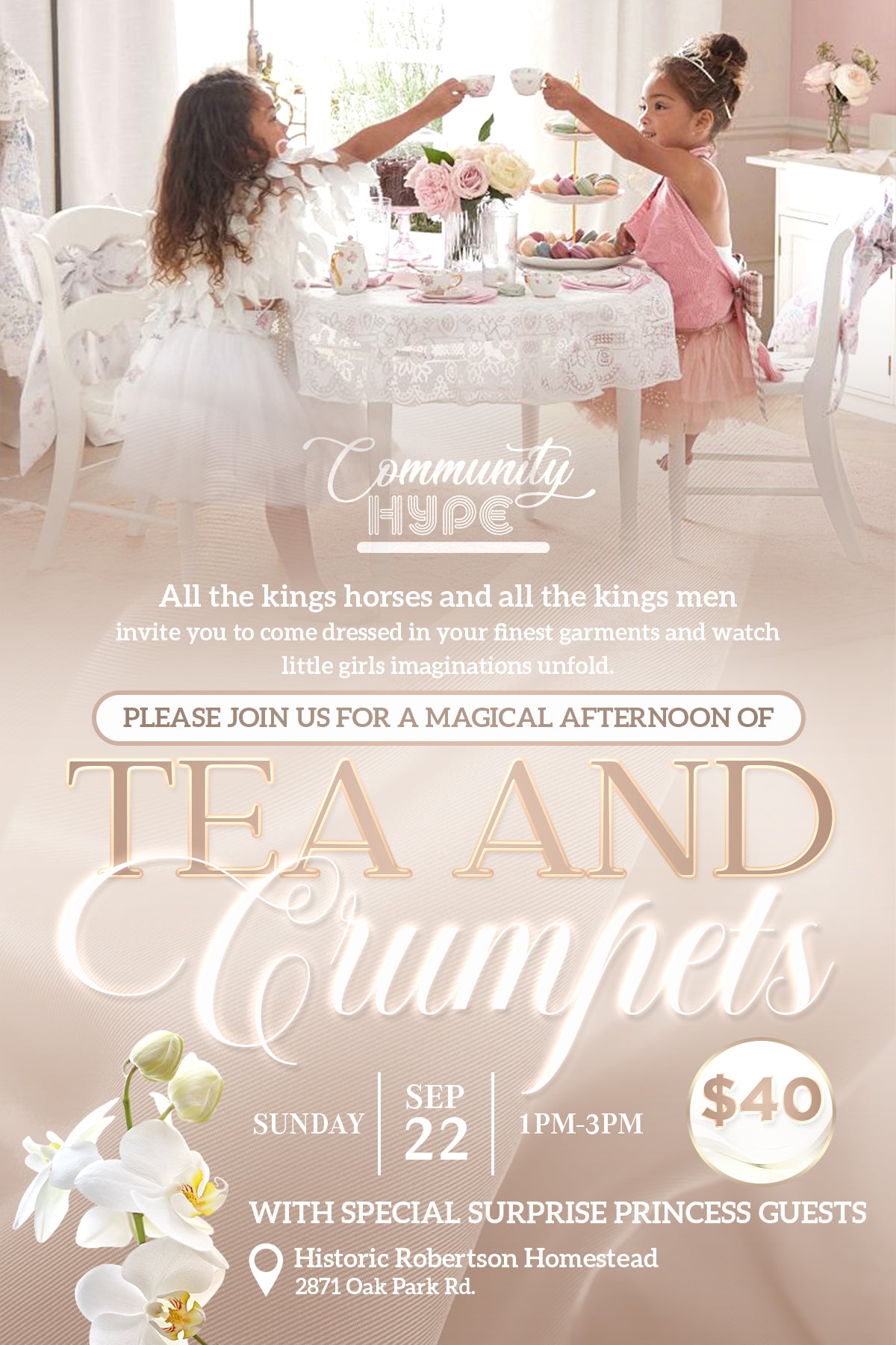 Princess Tea Party